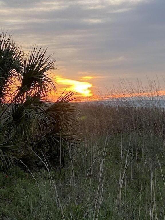 2501 S Ocean Blvd, 1115 - Ocean View Sleeps 8 Villa Myrtle Beach Exteriör bild
